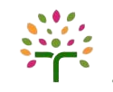 //www.taxmaxservice.com/wp-content/uploads/2024/04/TaxMax_favicon_bg.png