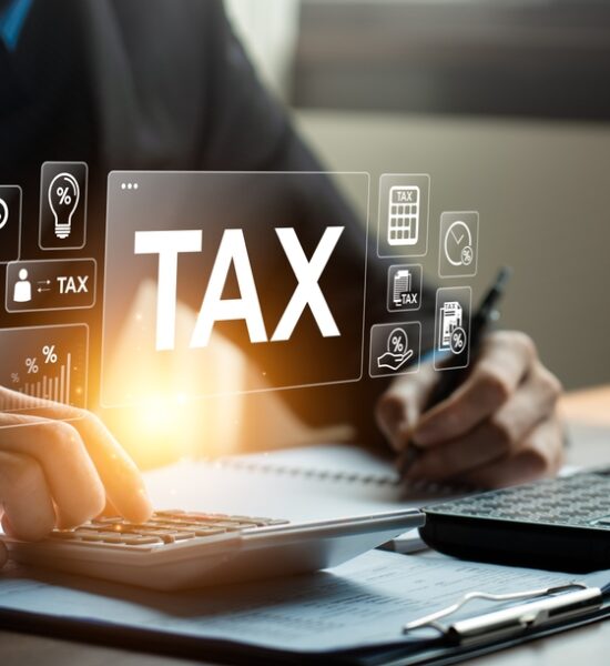 https://www.taxmaxservice.com/wp-content/uploads/2024/06/tax-home-block-1-550x600.jpg